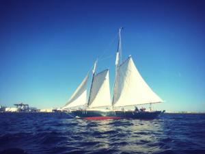 Good Fortune under sail, with us on board (photo nicked from Ted's Facebook friend Michelle Salisbury)